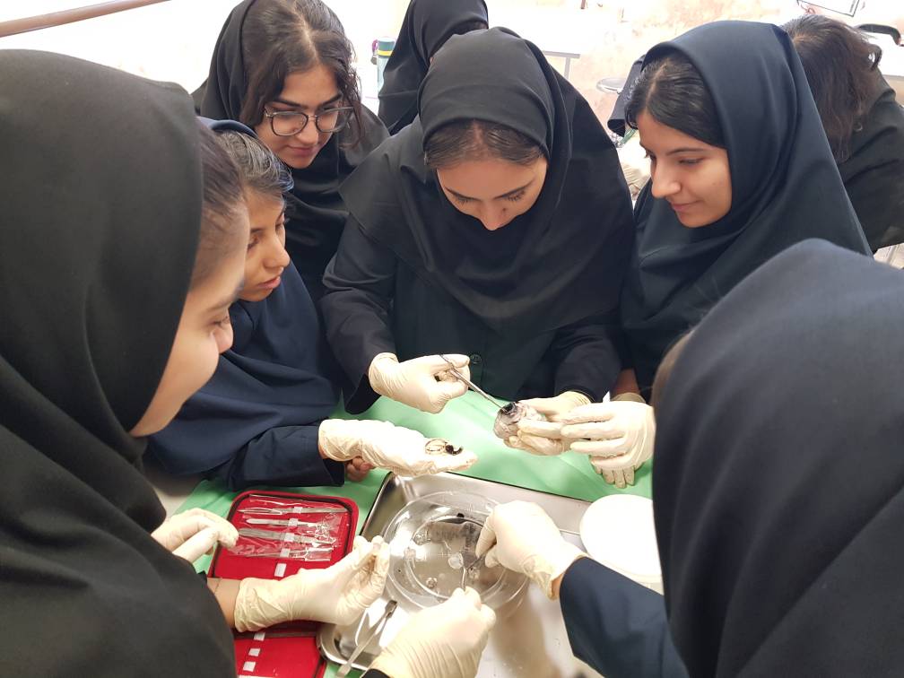 فعالیت گروهی